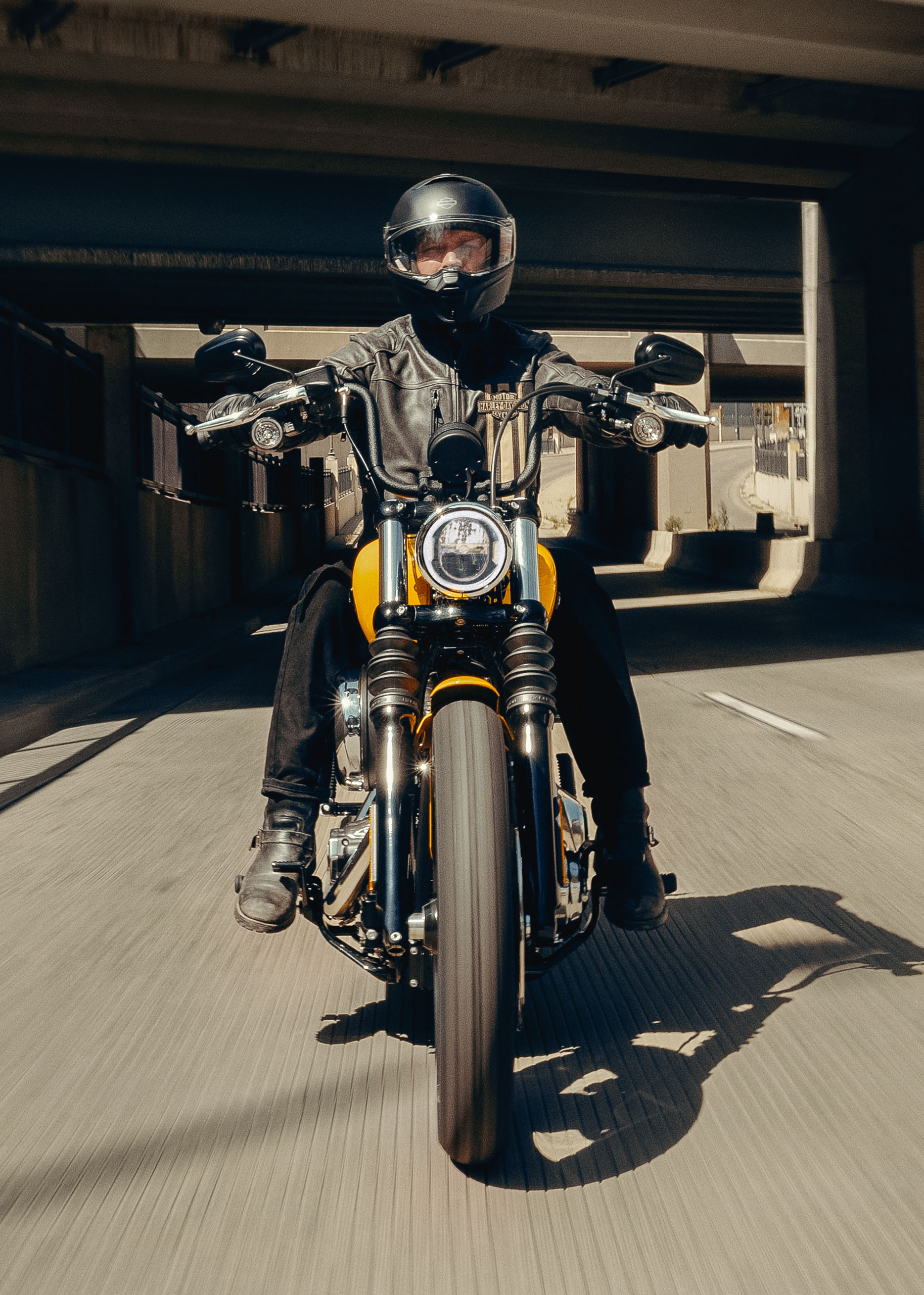 2025 Street Bob Riding Shot